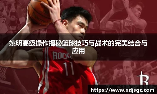 姚明高级操作揭秘篮球技巧与战术的完美结合与应用