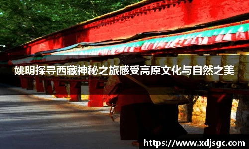 姚明探寻西藏神秘之旅感受高原文化与自然之美