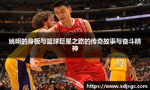 姚明的身板与篮球巨星之路的传奇故事与奋斗精神